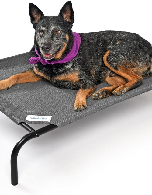 Load image into Gallery viewer, the Original Cooling Elevated Pet Bed, S to L Sizes
