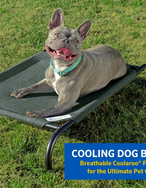 Load image into Gallery viewer, the Original Cooling Elevated Pet Bed, S to L Sizes
