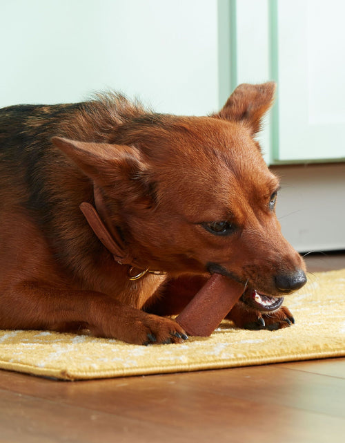 Load image into Gallery viewer, Rachael Ray  Soup Bones with Real Beef &amp; Barley, 11 Dog Chews
